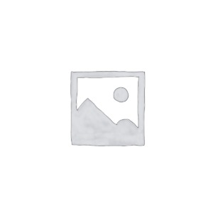 El Camino Sticker Script Decal - ChevroletElCamino.com
